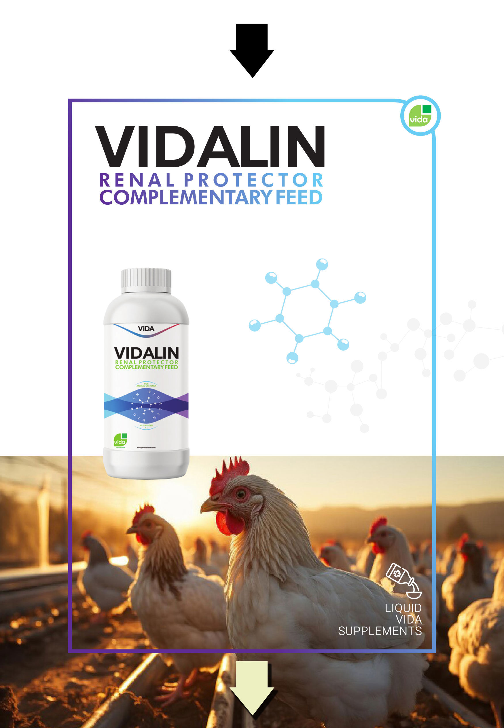 VIDALIN