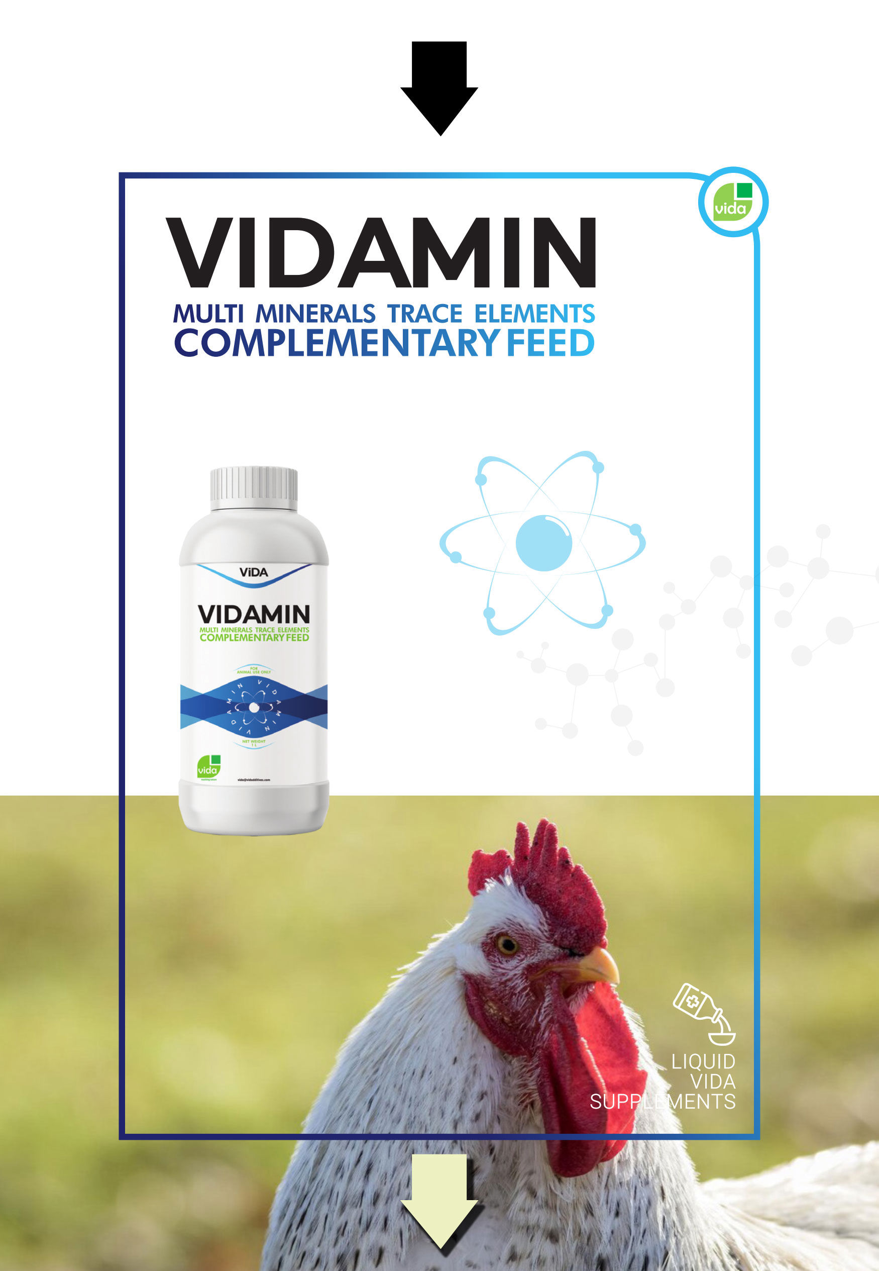 VIDAMIN