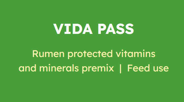 Vida PASS